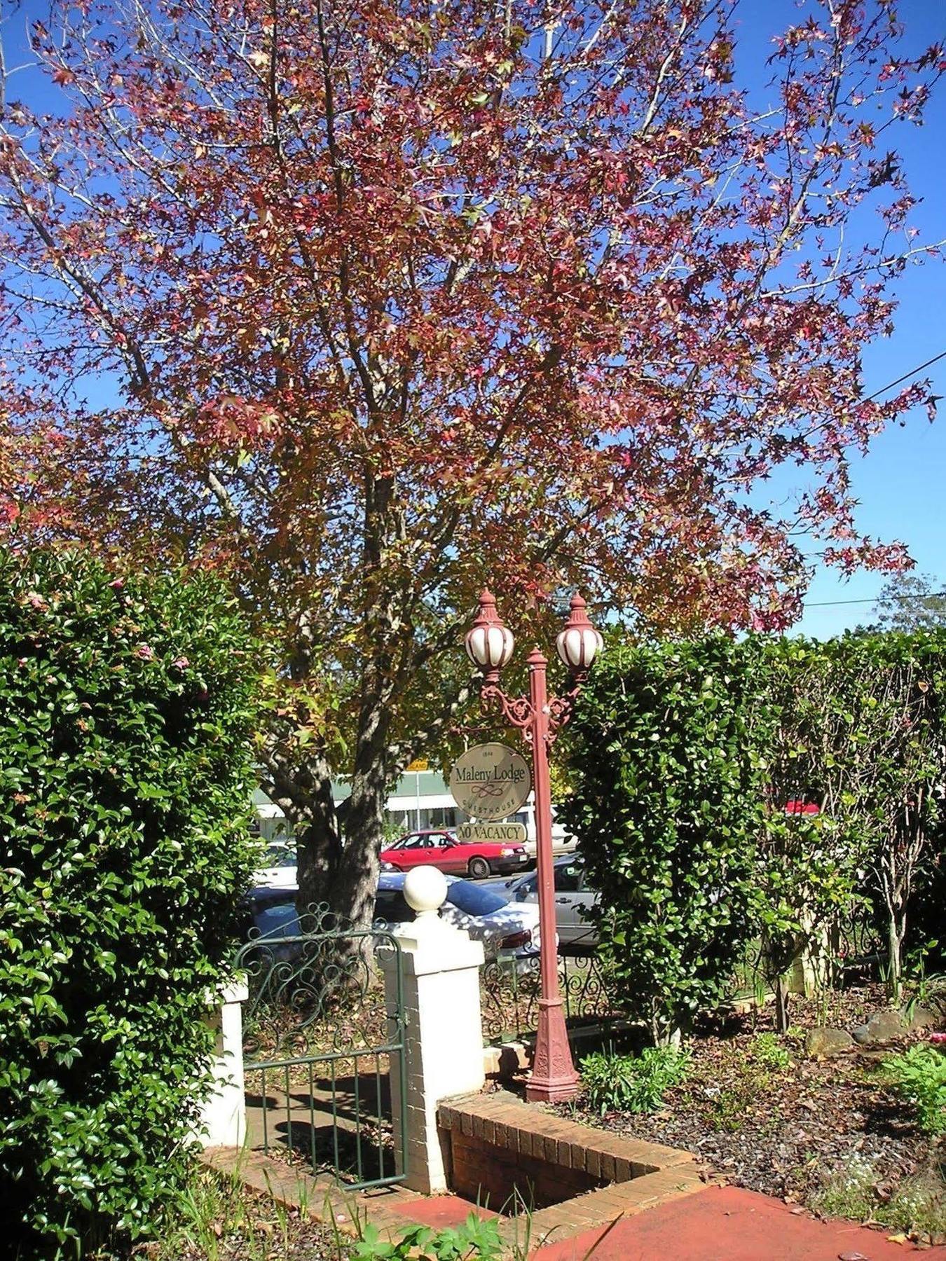 Maleny Lodge Zewnętrze zdjęcie