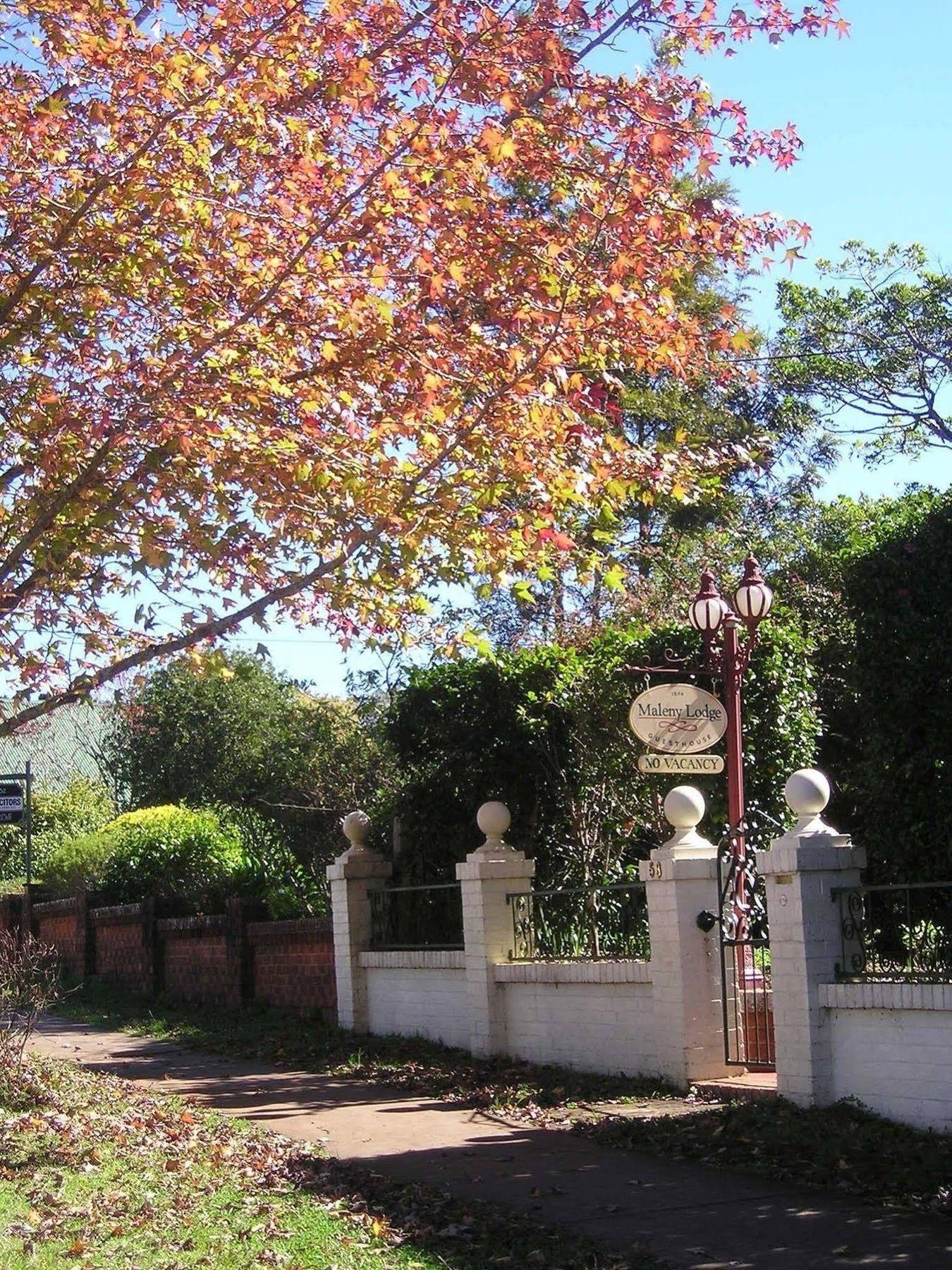 Maleny Lodge Zewnętrze zdjęcie